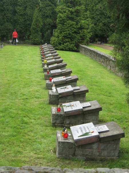 Obraz0000000000000000000007