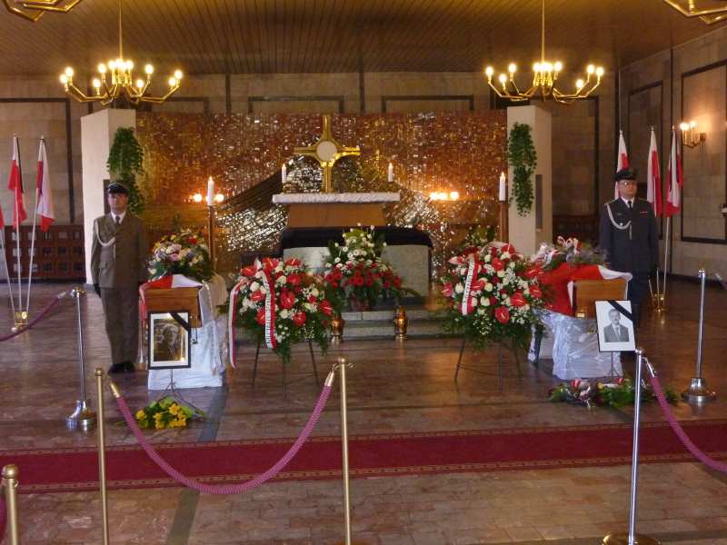 P1000000000000000000000000330 P1000000000000000000000000330