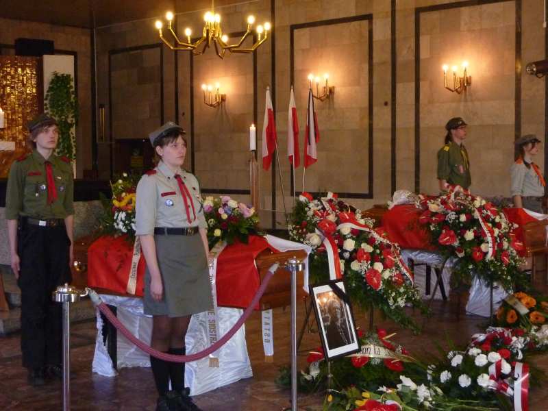 P10000000000000000000350 P10000000000000000000350