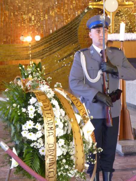 P10000000000000000379 P10000000000000000379