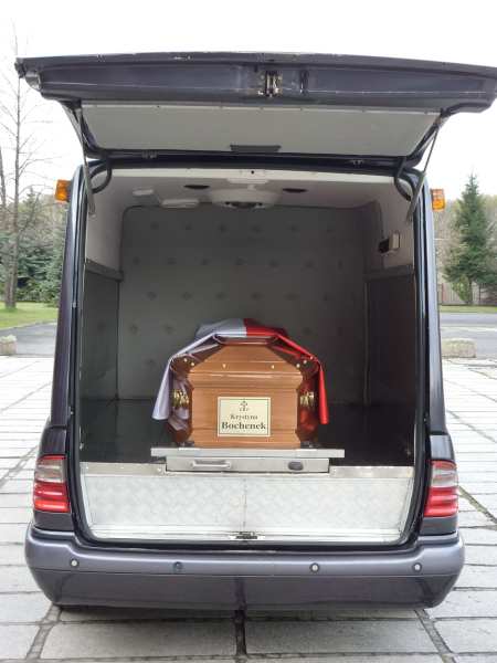 P10000000000000000419 P10000000000000000419