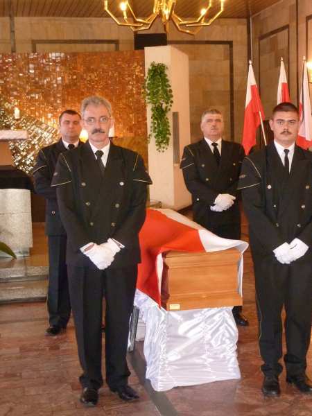 P10000000000000000437 P10000000000000000437