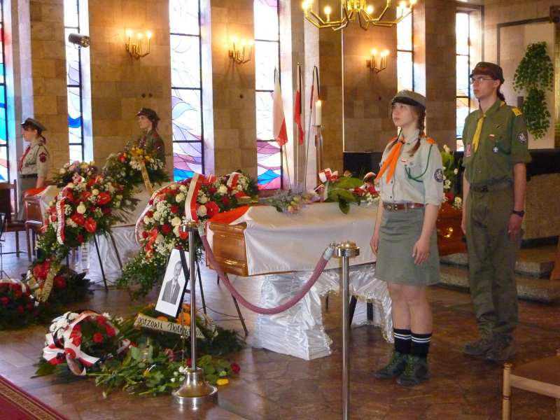 P100000000000000353 P100000000000000353