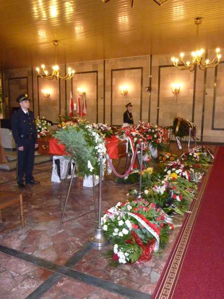 P100000000000000385 P100000000000000385