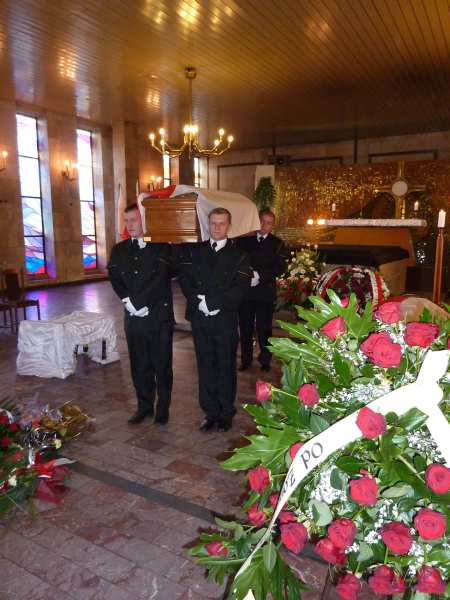 P100000000000000413 P100000000000000413