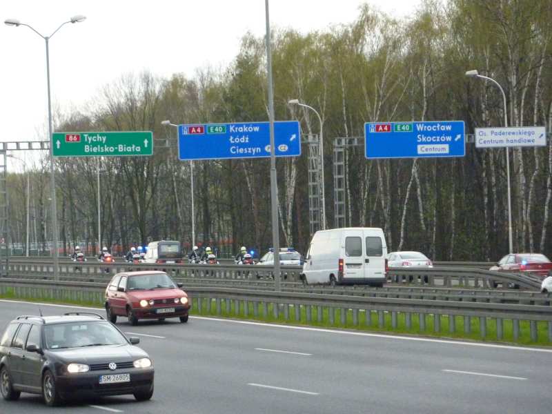 P100000000000000436 P100000000000000436