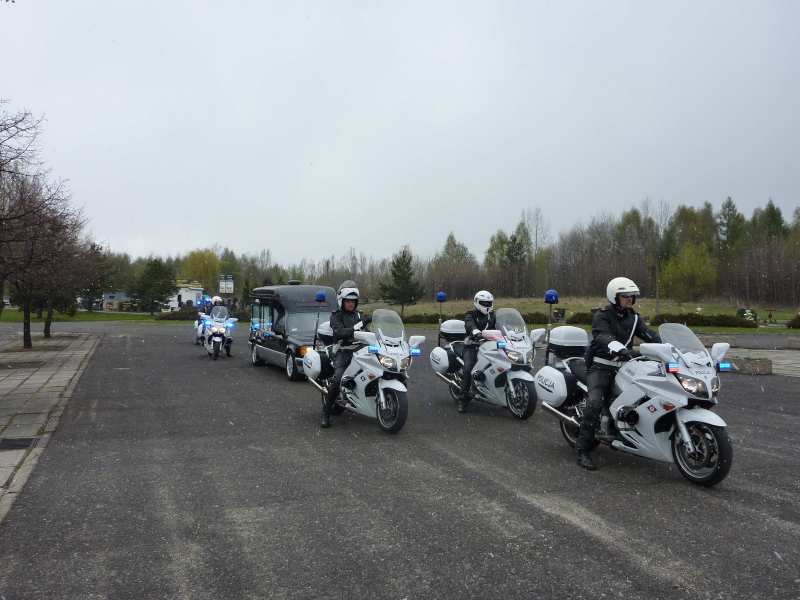 P10000000000000441 P10000000000000441